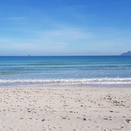 Ideal Property Mallorca - Blue Palm Beach อัลกูเดีย ภายนอก รูปภาพ