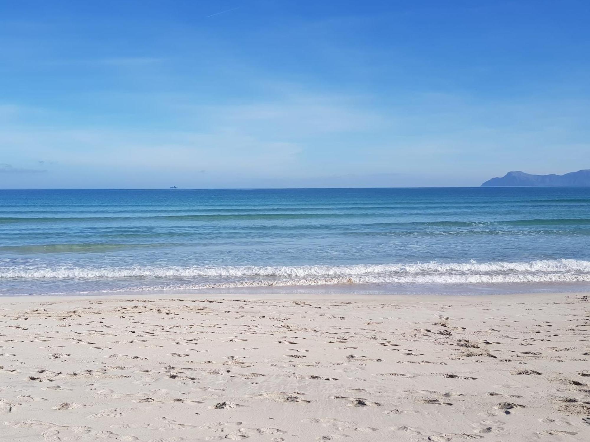 Ideal Property Mallorca - Blue Palm Beach อัลกูเดีย ภายนอก รูปภาพ