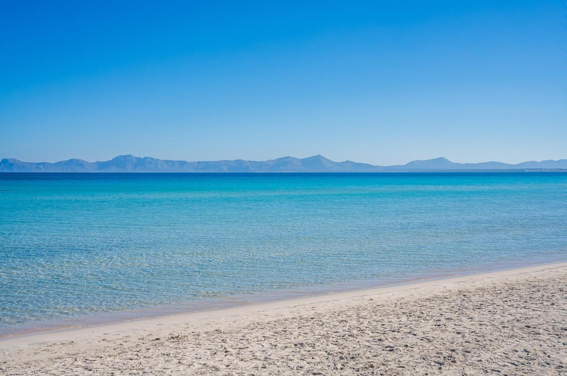 Ideal Property Mallorca - Blue Palm Beach อัลกูเดีย ภายนอก รูปภาพ